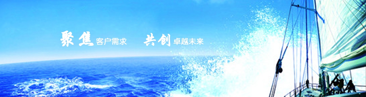 聚焦客戶(hù)需求       共創(chuàng)卓越未來(lái)
